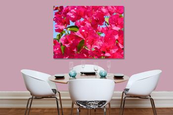 Papier peint : fleur de bougainvillier rose - plusieurs tailles - format paysage 4:3 - plusieurs tailles et matériaux - motif d'art photo exclusif sous forme de toile ou d'image en verre acrylique pour la décoration murale 4