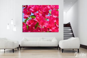 Papier peint : fleur de bougainvillier rose - plusieurs tailles - format paysage 4:3 - plusieurs tailles et matériaux - motif d'art photo exclusif sous forme de toile ou d'image en verre acrylique pour la décoration murale 6