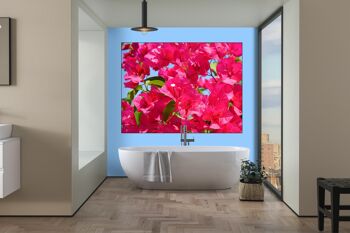Papier peint : fleur de bougainvillier rose - plusieurs tailles - format paysage 4:3 - plusieurs tailles et matériaux - motif d'art photo exclusif sous forme de toile ou d'image en verre acrylique pour la décoration murale 7