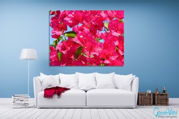 Papier peint : fleur de bougainvillier rose - plusieurs tailles - format paysage 4:3 - plusieurs tailles et matériaux - motif d'art photo exclusif sous forme de toile ou d'image en verre acrylique pour la décoration murale 8