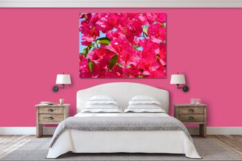 Papier peint : fleur de bougainvillier rose - plusieurs tailles - format paysage 4:3 - plusieurs tailles et matériaux - motif d'art photo exclusif sous forme de toile ou d'image en verre acrylique pour la décoration murale 9