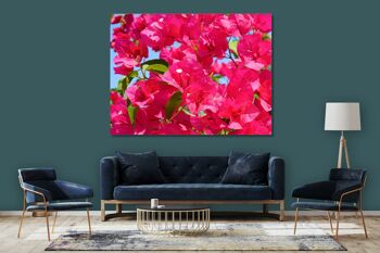 Papier peint : fleur de bougainvillier rose - plusieurs tailles - format paysage 4:3 - plusieurs tailles et matériaux - motif d'art photo exclusif sous forme de toile ou d'image en verre acrylique pour la décoration murale 10