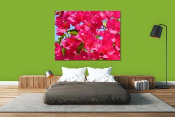 Papier peint : fleur de bougainvillier rose - plusieurs tailles - format paysage 4:3 - plusieurs tailles et matériaux - motif d'art photo exclusif sous forme de toile ou d'image en verre acrylique pour la décoration murale 11