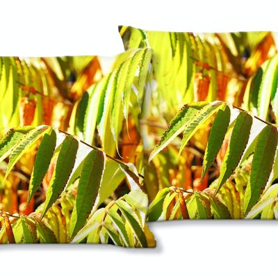 Set di cuscini decorativi con foto (2 pezzi), motivo: foglie autunnali colorate - dimensioni: 40 x 40 cm - fodera per cuscino premium, cuscino decorativo, cuscino decorativo, cuscino fotografico, fodera per cuscino