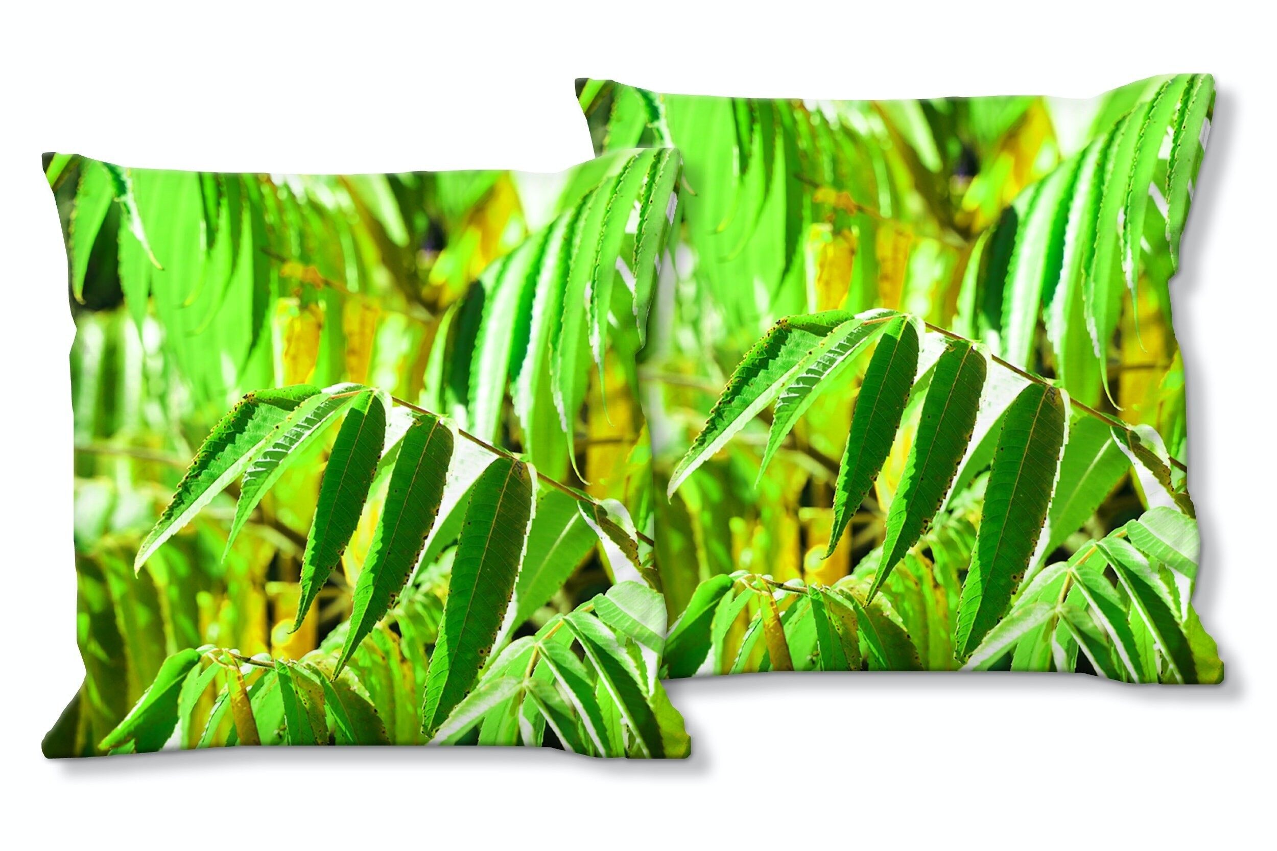 Deko-Foto-Kissen Set (2 Stk.), Motiv: Buntes Herbstlaub 3 - Größe: 40 x 40 cm - Premium Kissenhülle, Zierkissen, Dekokissen, Fotokissen, Kissenbezug