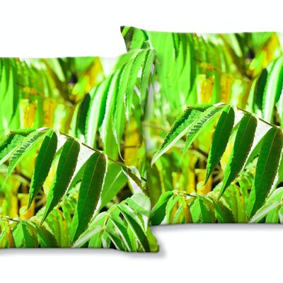 Set di cuscini decorativi con foto (2 pezzi), motivo: foglie autunnali colorate 3 - dimensioni: 40 x 40 cm - fodera per cuscino premium, cuscino decorativo, cuscino decorativo, cuscino fotografico, fodera per cuscino