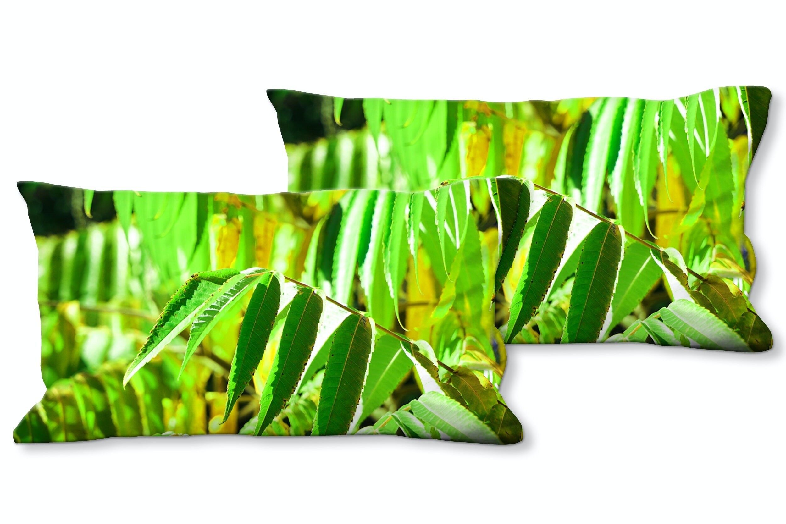 Deko-Foto-Kissen Set (2 Stk.), Motiv: Buntes Herbstlaub 3 - Größe: 80 x 40 cm - Premium Kissenhülle, Zierkissen, Dekokissen, Fotokissen, Kissenbezug