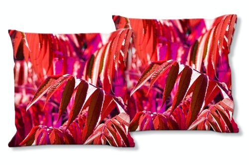 Deko-Foto-Kissen Set (2 Stk.), Motiv: Buntes Herbstlaub 4 - Größe: 40 x 40 cm - Premium Kissenhülle, Zierkissen, Dekokissen, Fotokissen, Kissenbezug