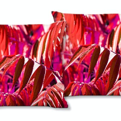 Deko-Foto-Kissen Set (2 Stk.), Motiv: Buntes Herbstlaub 4 - Größe: 40 x 40 cm - Premium Kissenhülle, Zierkissen, Dekokissen, Fotokissen, Kissenbezug