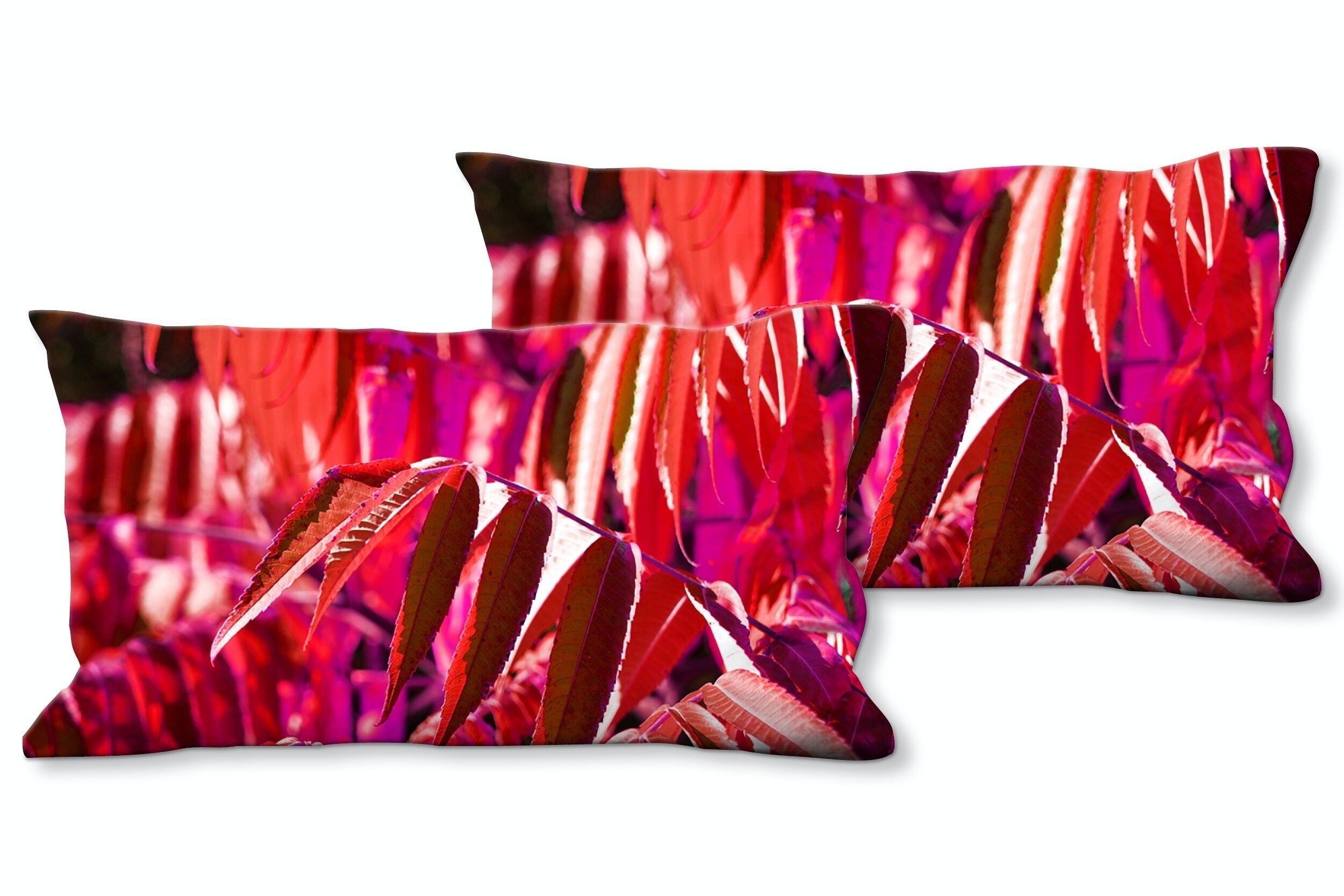 Juego de cojines decorativos con foto (2 piezas), motivo: hojas de otoño de colores 4 - tamaño: 80 x 40 cm - funda de cojín premium, cojín decorativo, cojín decorativo, cojín fotográfico, funda de cojín