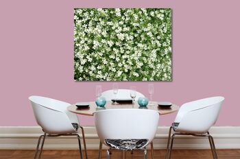 Papier peint : Prairie de fleurs blanches - plusieurs tailles - format paysage 4:3 - plusieurs tailles et matériaux - motif d'art photo exclusif comme image sur toile ou image sur verre acrylique pour la décoration murale 8
