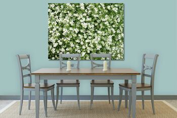 Papier peint : Prairie de fleurs blanches - plusieurs tailles - format paysage 4:3 - plusieurs tailles et matériaux - motif d'art photo exclusif comme image sur toile ou image sur verre acrylique pour la décoration murale 11
