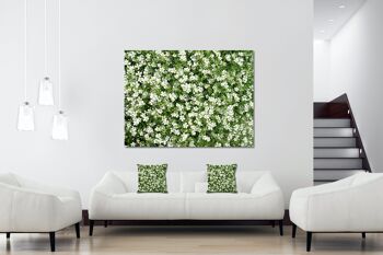 Papier peint : Prairie de fleurs blanches - plusieurs tailles - format paysage 4:3 - plusieurs tailles et matériaux - motif d'art photo exclusif comme image sur toile ou image sur verre acrylique pour la décoration murale 12