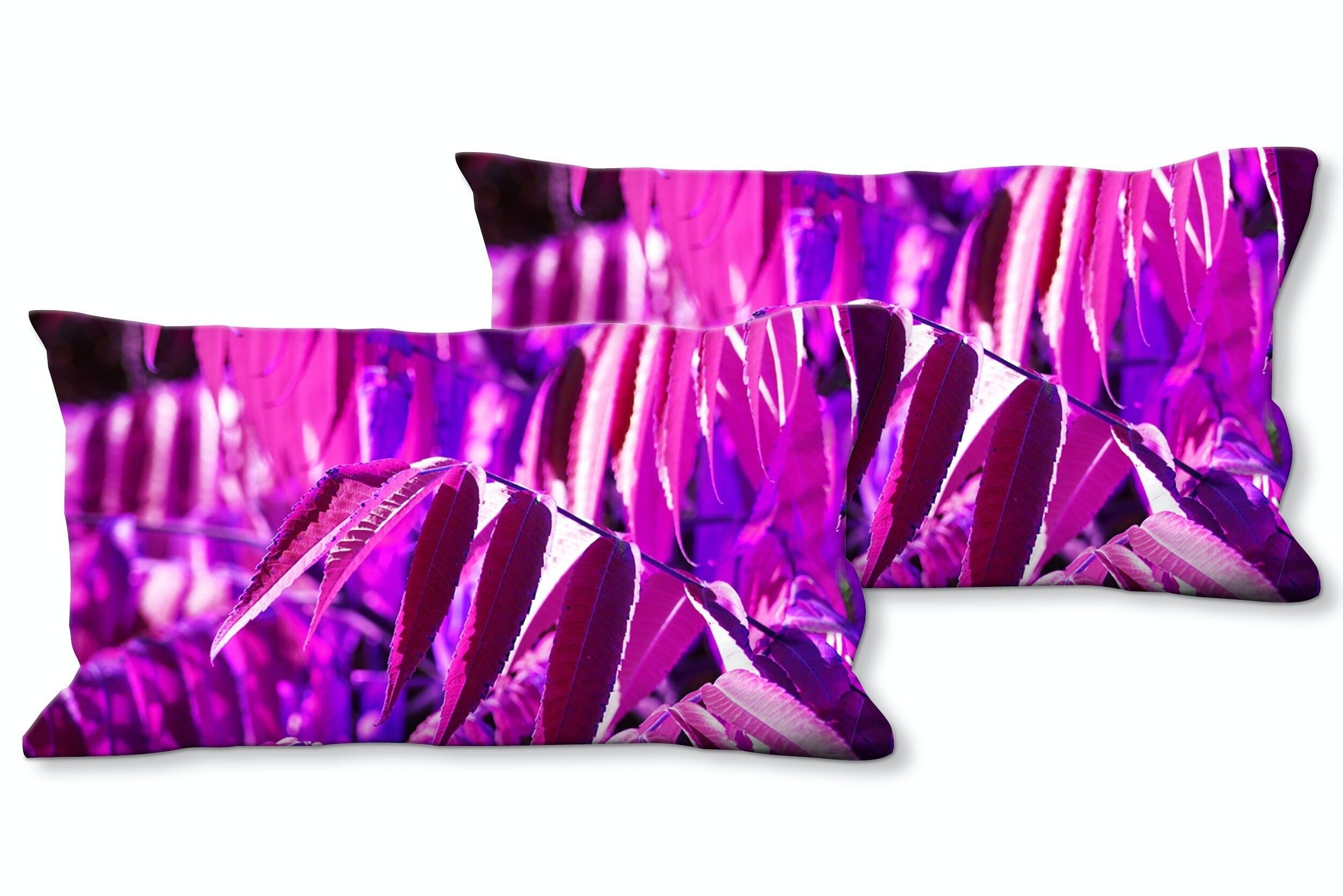 Deko-Foto-Kissen Set (2 Stk.), Motiv: Buntes Herbstlaub 5 - Größe: 80 x 40 cm - Premium Kissenhülle, Zierkissen, Dekokissen, Fotokissen, Kissenbezug