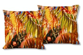 Ensemble de coussins photo décoratifs (2 pièces), motif : feuilles d'automne colorées 7 - taille : 40 x 40 cm - housse de coussin premium, coussin décoratif, coussin décoratif, coussin photo, housse de coussin 1