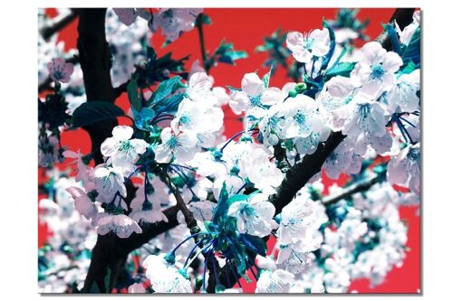 Wandbild: Japan-Style Kirschblüte 1 - viele Größen - Querformat 4:3 - viele Größen & Materialien – Exklusives Fotokunst-Motiv als Leinwandbild oder Acrylglasbild zur Wand-Dekoration