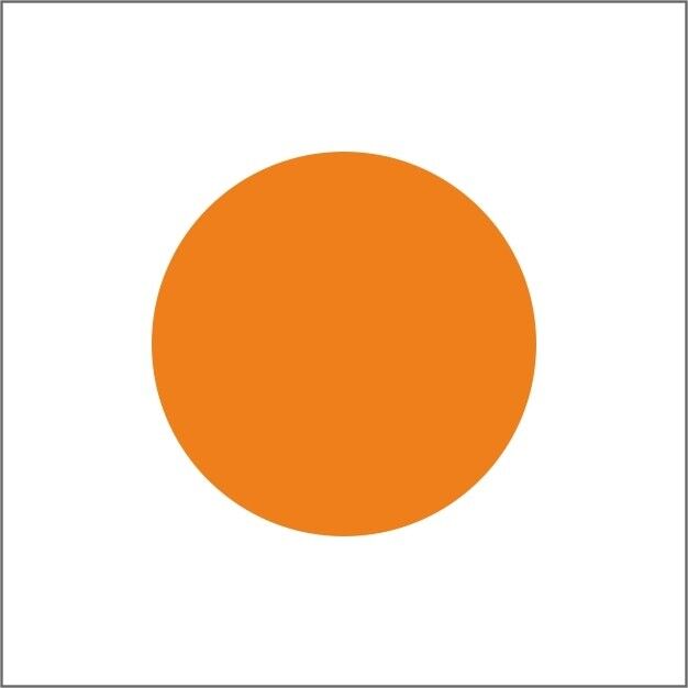 Etichette vuote - 25MM CROMO rotolo da 1000 pezzi