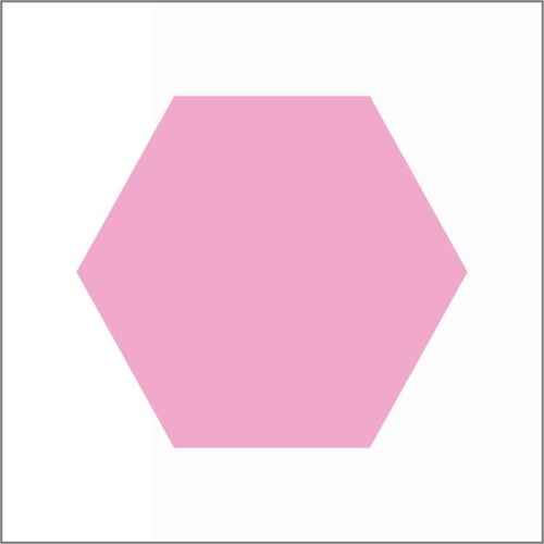 Blank labels - Hexagon pink roll of 500 pieces