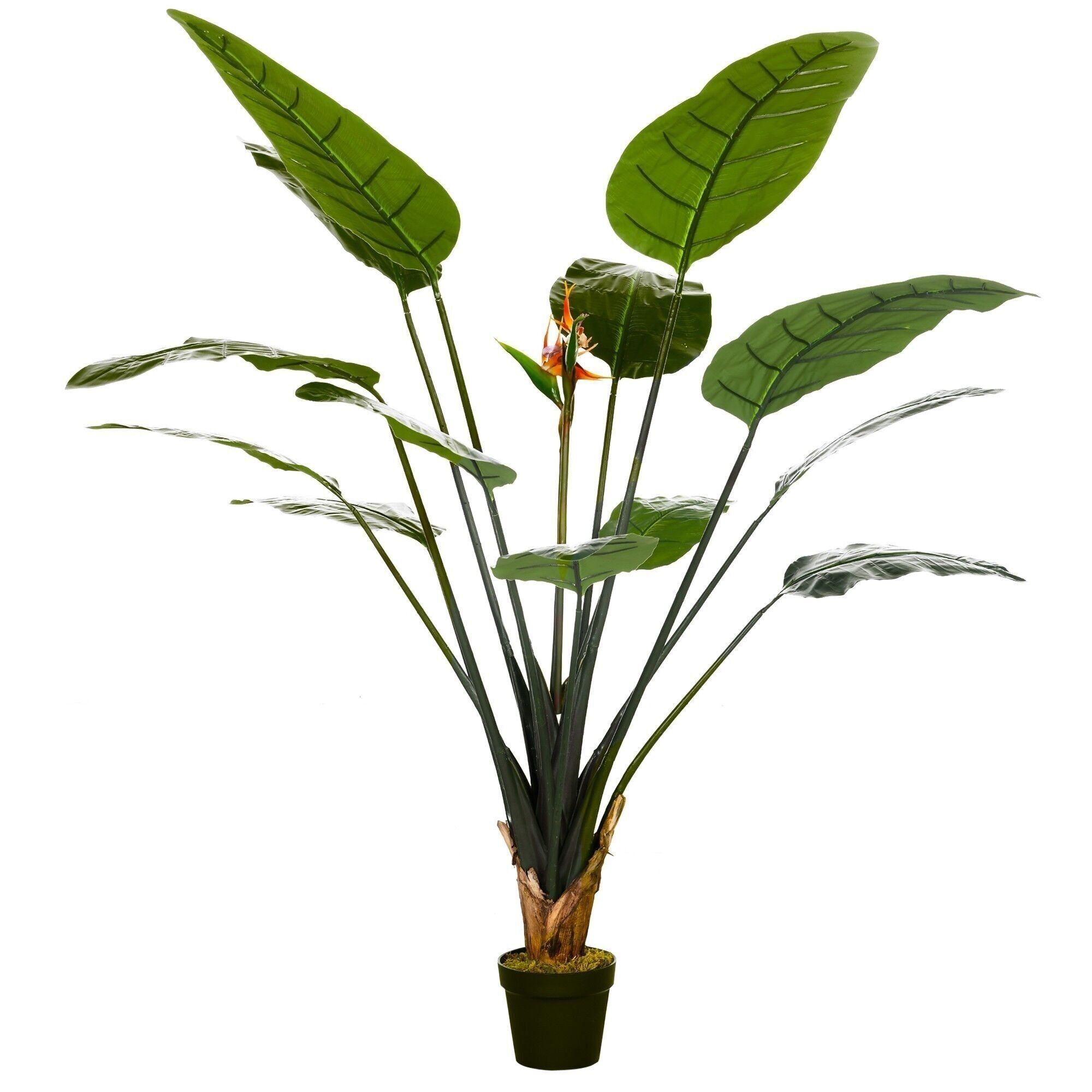 Pianta artificiale Strelitzia H. 180 cm rami lichene foglie fiori vaso grande realismo incluso