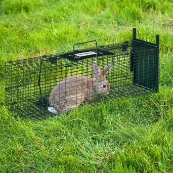 Piège de capture pour petits animaux type lapin rat - entrée, poignée - dim. 60L x 18l x 20H cm - métal vert 2