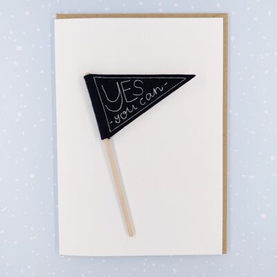 Yes you can mini pennant flag