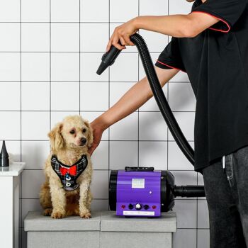 Séchoir sèche-poils toilettage professionnel pour chien chat animaux 2800 W température + vitesse réglable rose fuchsia noir 2