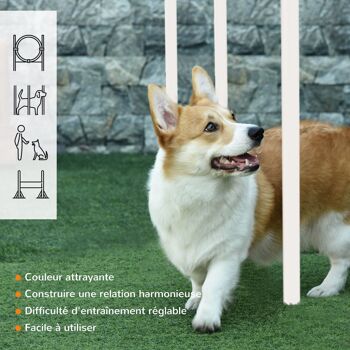 Agility sport pour chien kit d'agilité pour chien avec obstacle, tunnels, saut, slalom rouge 4