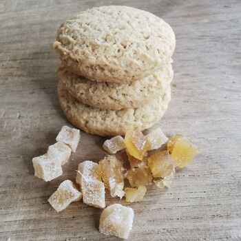 Biscuits Bio Gingembre Citron - Vrac en poche de 3kg 2