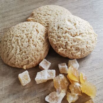 Biscuits Bio Gingembre Citron - Vrac en poche de 3kg 3