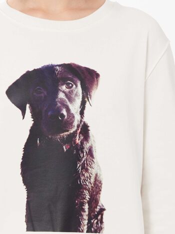 Sweat-shirt unisexe à imprimé chiot Labrador en blanc 2