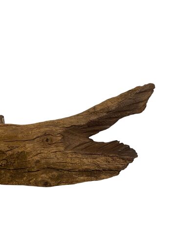 Poisson sculpté à la main en bois flotté - M (1203) 2