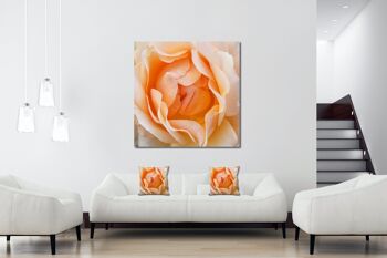 Ensemble de coussins photo décoratifs (2 pièces), motif : fleur de rose rêve de rose 2 - taille : 40 x 40 cm - housse de coussin haut de gamme, coussin décoratif, coussin décoratif, coussin photo, housse de coussin 3