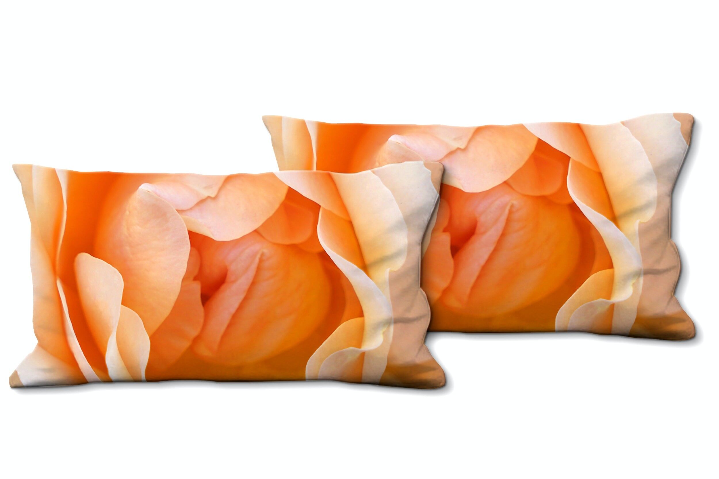 Decorative photo cushion set (2 pieces), motif: rose blossom Rosentraum 2 - size: 80 x 40 cm - premium cushion cover, decorative cushion, decorative cushion, photo cushion, cushion cover