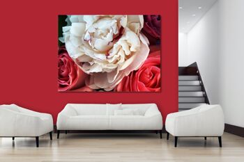 Papier peint : amour délicat de la rose - plusieurs tailles - carré 1:1 - plusieurs tailles et matériaux - motif d'art photo exclusif sous forme de toile ou d'image en verre acrylique pour la décoration murale 2