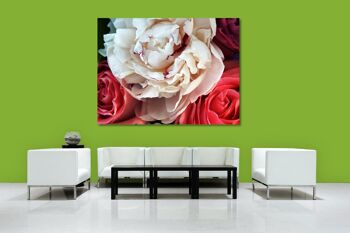 Papier peint : amour délicat de la rose - plusieurs tailles - carré 1:1 - plusieurs tailles et matériaux - motif d'art photo exclusif sous forme de toile ou d'image en verre acrylique pour la décoration murale 3