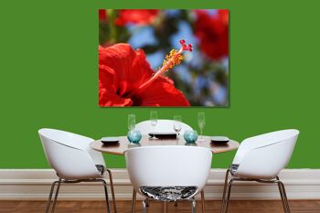 Papier peint : Hibiscus rouge de Crète - format paysage 4:3 - nombreuses tailles et matériaux - motif d'art photo exclusif comme image sur toile ou image sur verre acrylique pour la décoration murale 3