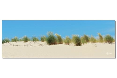 Wandbild: Dünenlandschaft 2 - Panorama quer 3:1 - viele Größen & Materialien – Exklusives Fotokunst-Motiv als Leinwandbild oder Acrylglasbild zur Wand-Dekoration