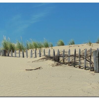 Murale: paesaggio di dune 5 - formato orizzontale 4:3 - molte dimensioni e materiali - esclusivo motivo artistico fotografico come immagine su tela o immagine su vetro acrilico per la decorazione della parete