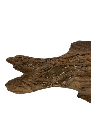 Poisson sculpté à la main en bois flotté - (1301) 2