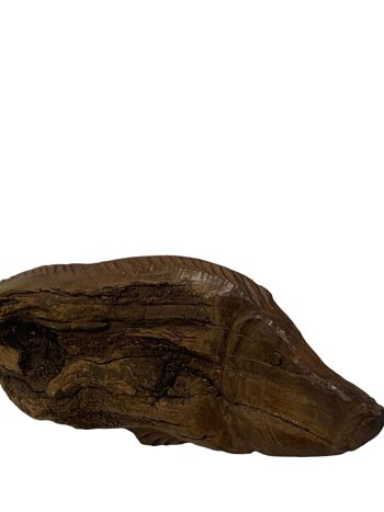 Poisson sculpté à la main en bois flotté - (13,5) Grand 2