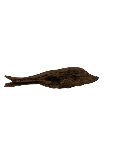 Driftwood Hand Carved Fish - (13.6) Large