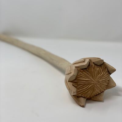 Protea di legno