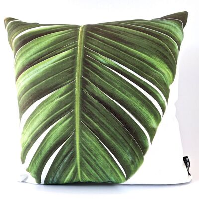 Wild Strelitzia
- Cushion Cover