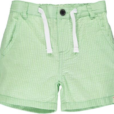 CREW shorts Lime seersucker teens