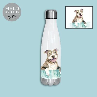 Staffordshire terrier, botella de agua aislada, mantiene su bebida caliente o fría
