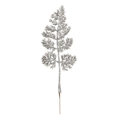 Silver fern 29cm 6 pieces