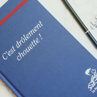 Carnet Le Petit Nicolas - Bleu