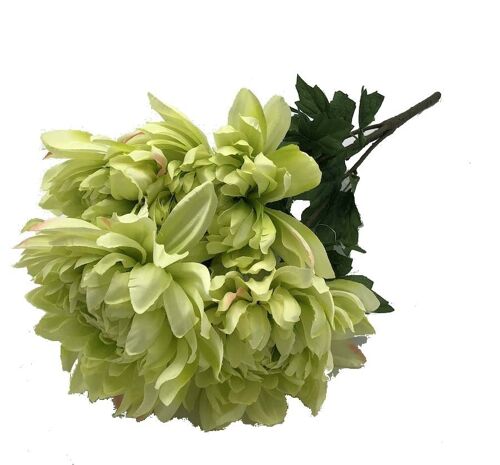 Piquet Dahlia Vert Clair Maeva 53cm