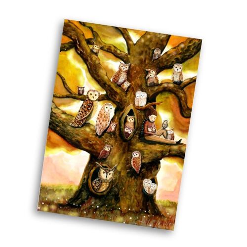 Kaart uilenboom – owl tree