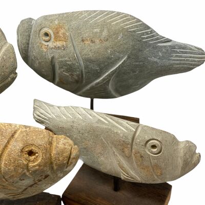 Stone Fish